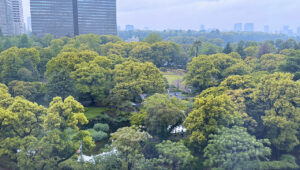 第15回街路樹診断士新規認定試験