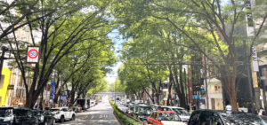 令和7年度街路樹診断士オンライン更新講習